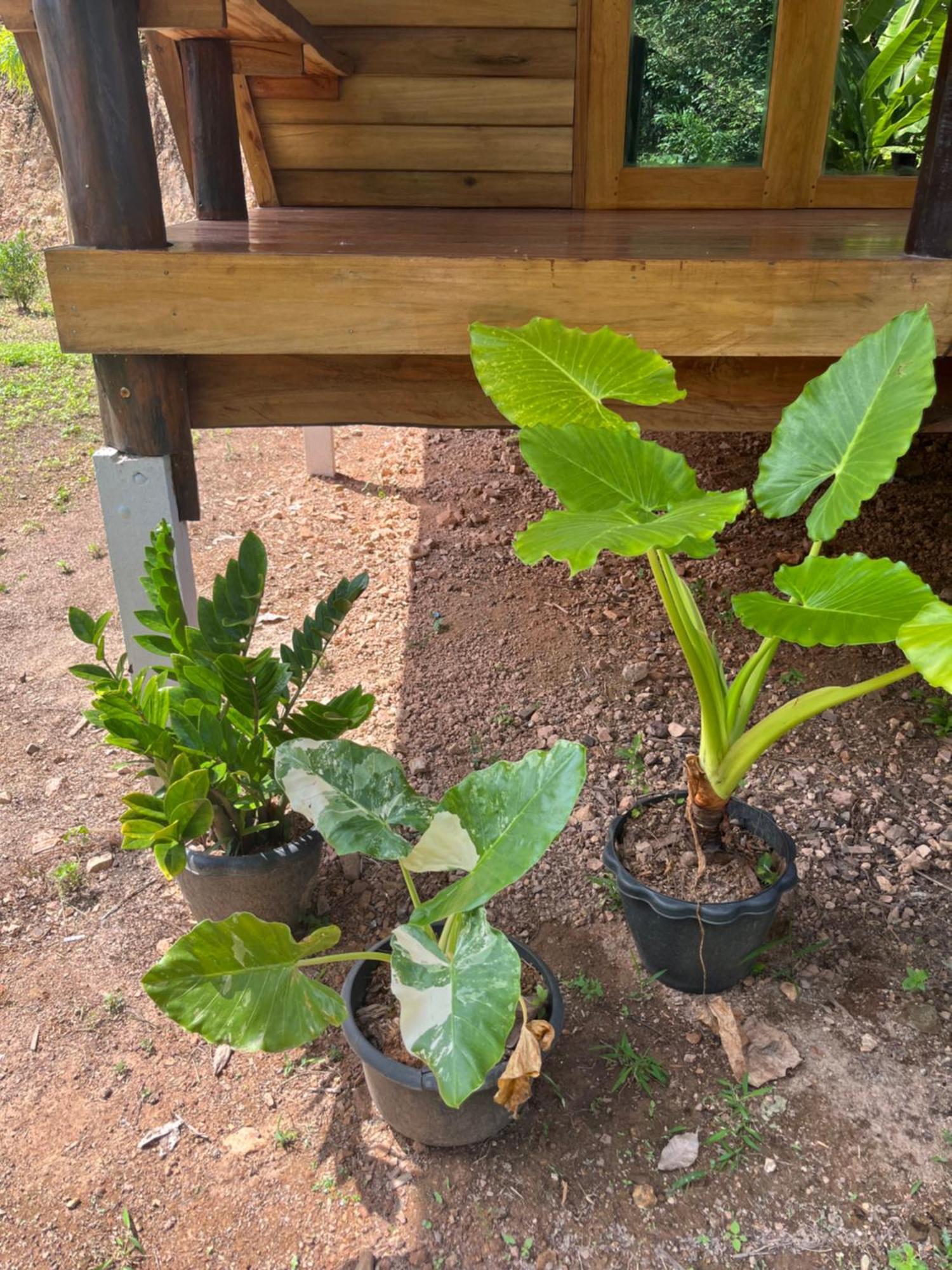 Koh Jum Home Stay Kültér fotó